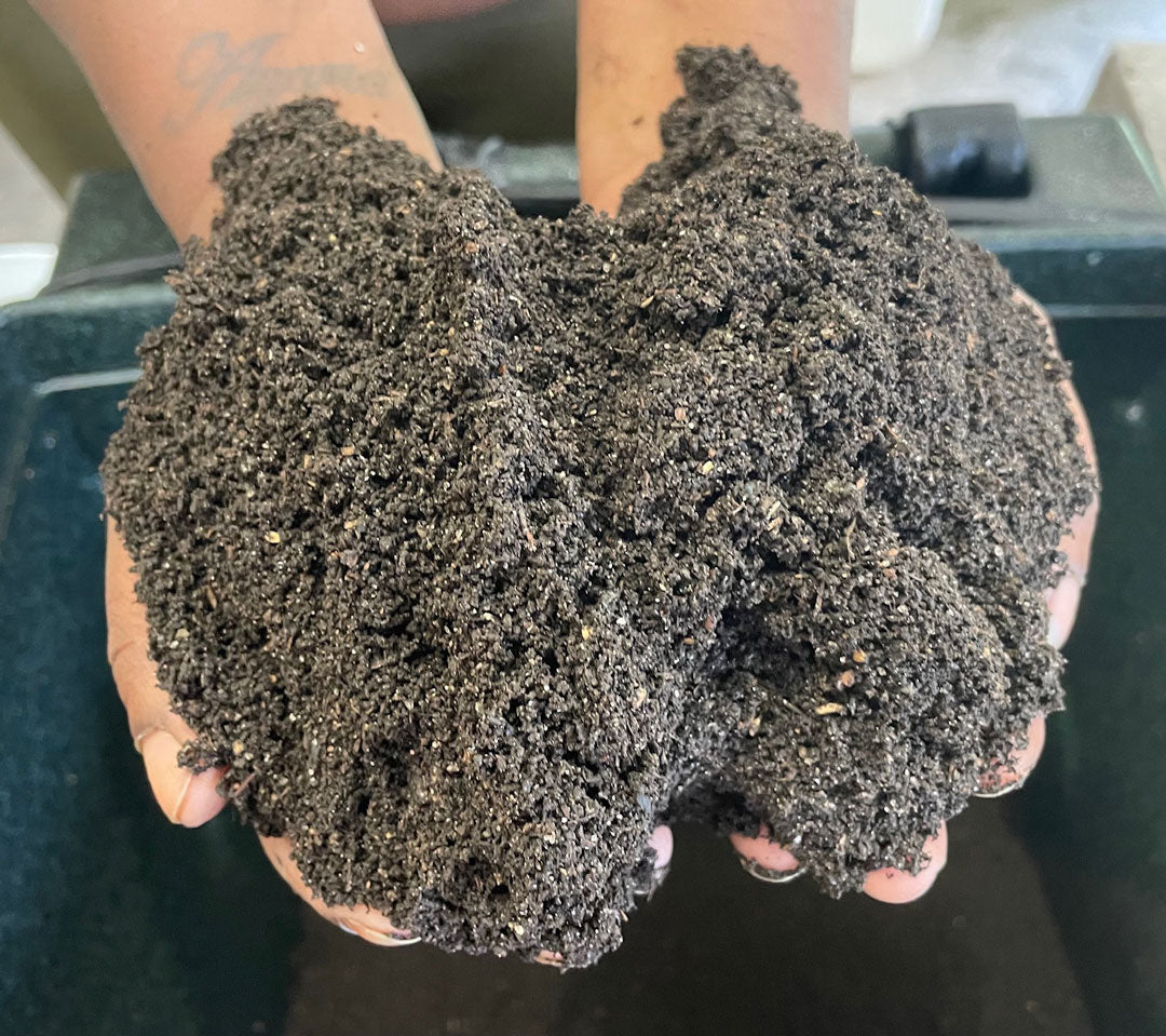 Compost Co-op Worm Castings